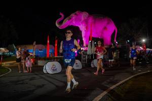 BIB: 
                            <button type="button" onclick="openModal(26552202)" class="btn btn-primary btn-sm float-right btn-popup" data-toggle="modal" data-target=".modal-high-quality">
                        <i class="fas fa-shopping-cart"></i> Add to Cart
                    </button>
                                            <button type="button" onclick="isThisMe(26552202, true)" class="btn btn-success btn-sm float-right btn-popup btn-isme hidden" data-toggle="tooltip" data-placement="bottom" title="นี่คือรูปของคุณใช่ไหม คลิกที่นี่เพื่อเอาเข้าอัลบั้ม">
                        <i class="fas fa-plus"></i> Add to album
                    </button>
                    <button type="button" onclick="isThisMe(26552202, false)" class="btn btn-warning btn-sm float-right btn-popup btn-isnotme hidden">
                        <i class="fas fa-ban"></i> Remove from album
                    </button>